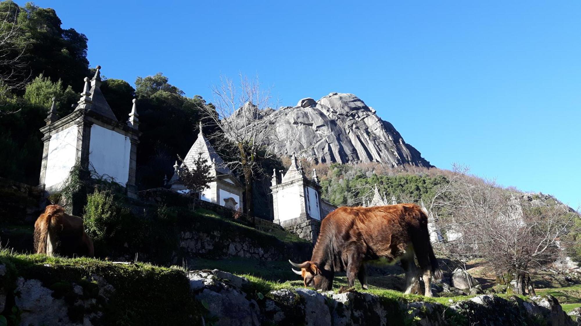 Penedino Mountain Cottage อาร์กอสเดวัลเดเวซ ภายนอก รูปภาพ
